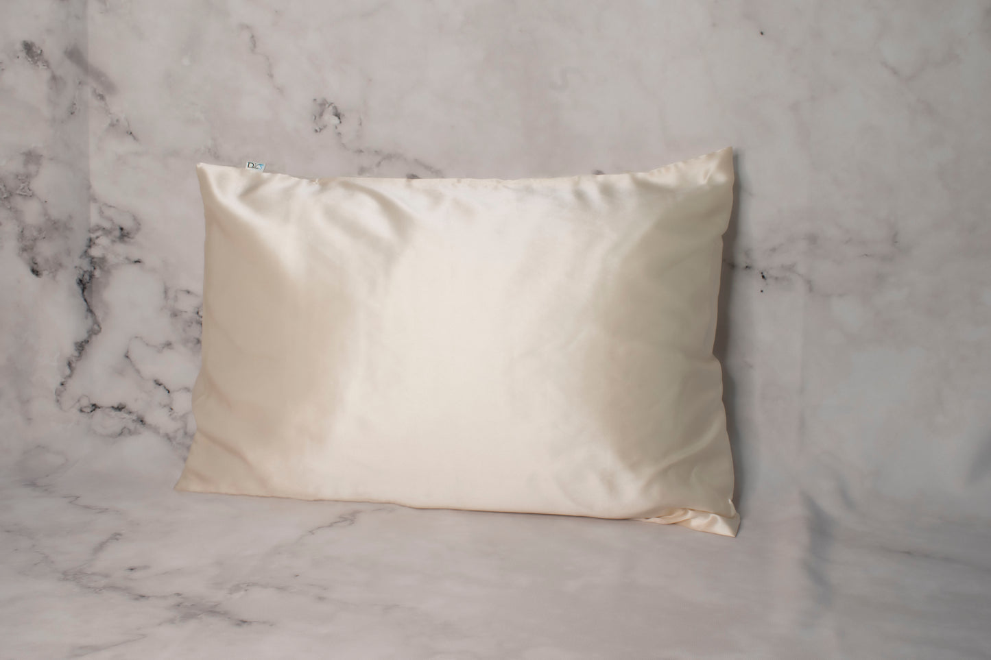 Champagne - 100% Mulberry Silk Pillowcase